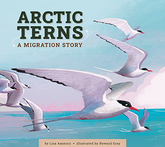 Cover Art for Arctic Terns: A Migration Story
