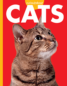 Cover Art for Curious about Cats