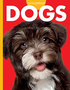 Cover Art for Curious about Dogs
