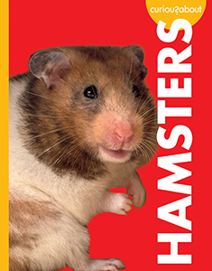 Cover Art for Curious about Hamsters