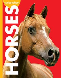 Cover Art for Curious about Horses