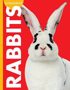 Cover Art for Curious about Rabbits