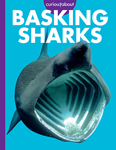 Cover Art for Curious about Basking Sharks