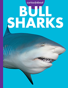 Cover Art for Curious about Bull Sharks