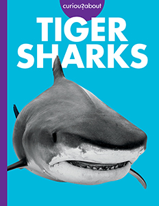 Cover Art for Curious about Tiger Sharks