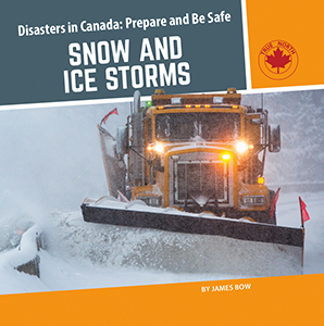 Cover Art for Snow and Ice Storms 