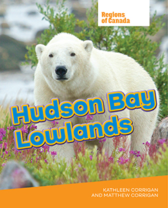 Cover Art for Hudson Bay Lowlands