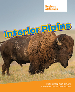Cover Art for Interior Plains