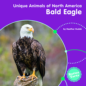 Cover Art for Bald Eagle