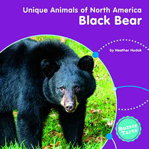 Cover Art for Black Bear