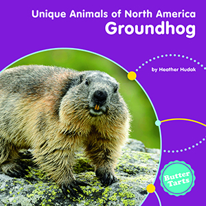 Cover Art for Groundhog