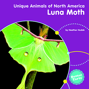 Cover Art for Luna Moth
