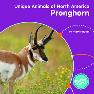 Cover Art for Pronghorn