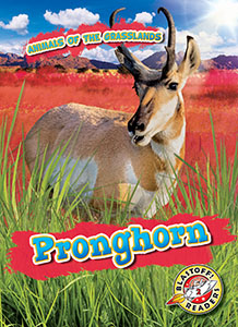 Cover Art for Pronghorn