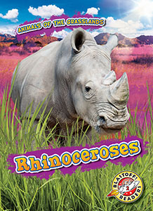 Cover Art for Rhinoceroses