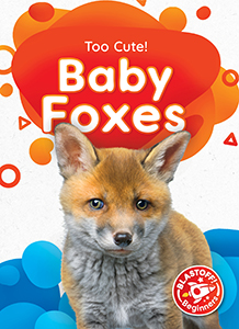 Cover Art for Baby Foxes