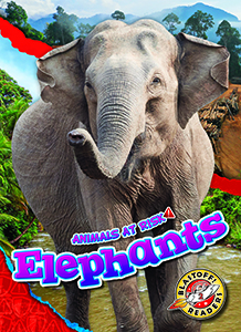 Cover Art for Elephants