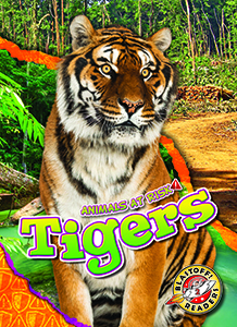 Cover Art for Tigers