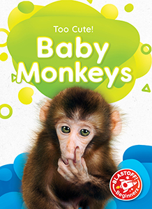 Cover Art for Baby Monkeys