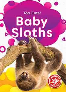 Cover Art for Baby Sloths