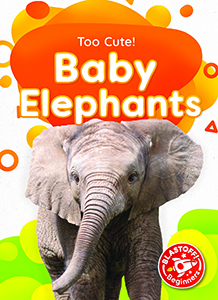 Cover Art for Baby Elephants