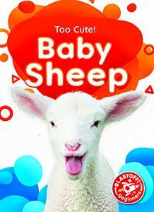 Cover Art for Baby Sheep
