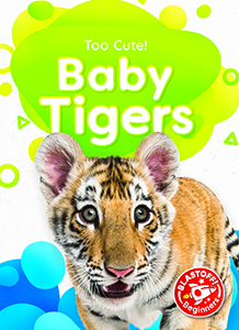 Cover Art for Baby Tigers