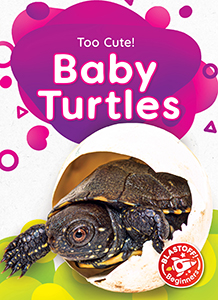 Cover Art for Baby Turtles