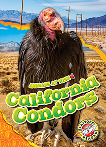 Cover Art for California Condors