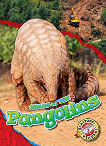 Cover Art for Pangolins