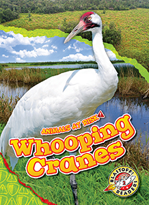 Cover Art for Whooping Cranes