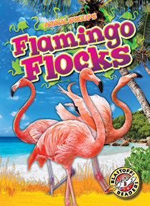 Cover Art for Flamingo Flocks