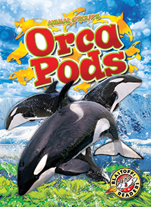 Cover Art for Orca Pods