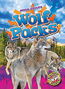Cover Art for Wolf Packs