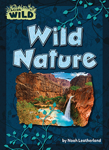 Cover Art for Wild Nature
