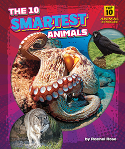 Cover Art for The 10 Smartest Animals