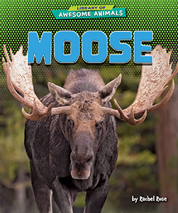 Cover Art for Moose