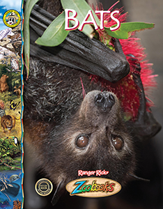 Cover Art for Bats