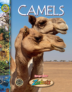 Cover Art for Camels