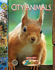 Cover Art for City Animals