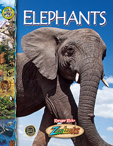 Cover Art for Elephants