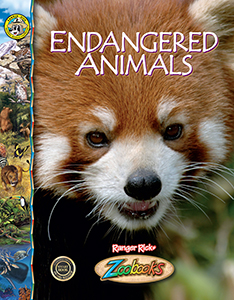 Cover Art for Endangered Animals