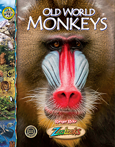 Cover Art for Old World Monkeys