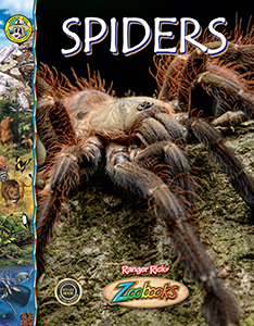 Cover Art for Spiders