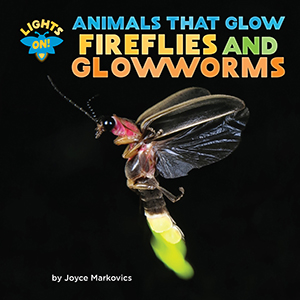 Cover Art for Fireflies and Glowworms