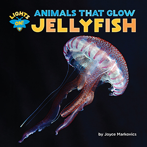 Cover Art for Jellyfish