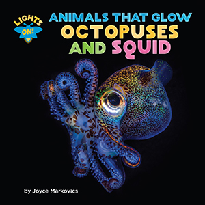 Cover Art for Octopuses and Squid