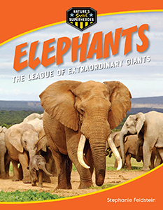 Cover Art for Elephants: The League of ExtraOrdinary Giants