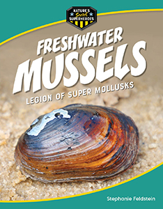 Cover Art for Freshwater Mussels: Legion of Super Mollusks