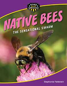 Cover Art for Native Bees: The Sensational Swarm